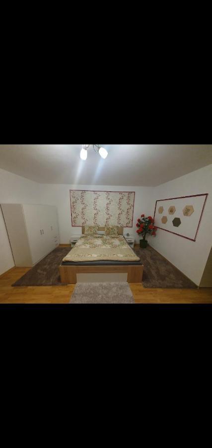 Ap Central Traian Mosoiu 2 Parcare Proprie クルージュ＝ナポカ エクステリア 写真